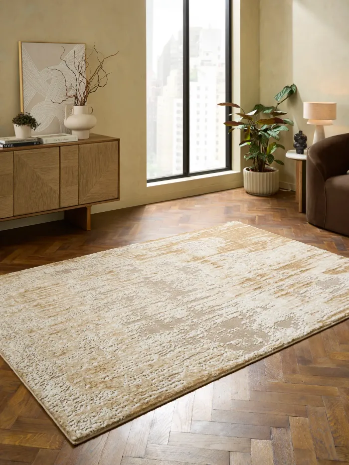 Apollo new in rug