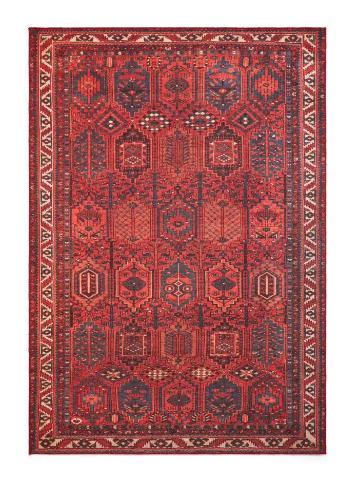 Kashmar Washable 2022 rug